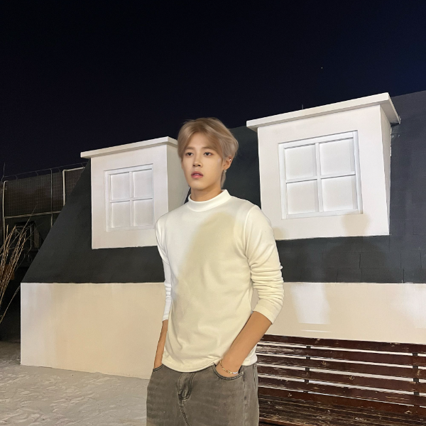 韩汶栩HWLX新年上新【 德绒保暖】半高领德绒打底衫上衣加绒长袖