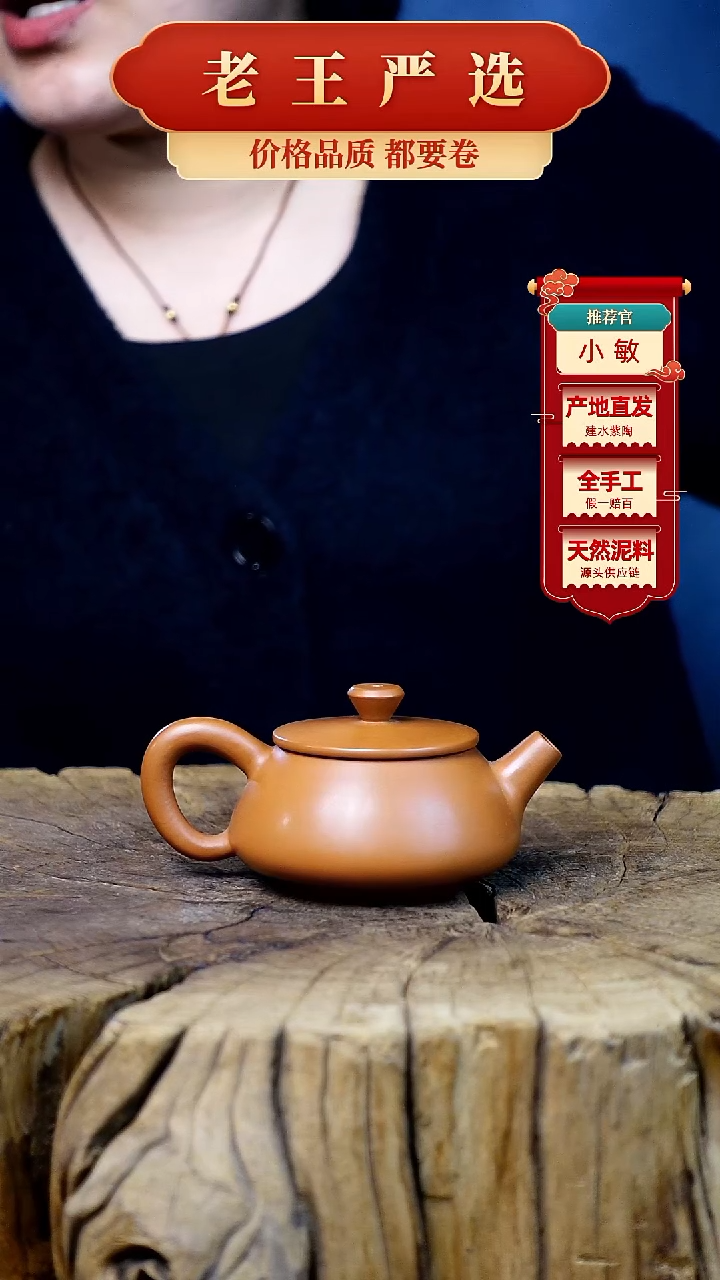 【闪购商品】壶建水紫陶全手工壶 小品