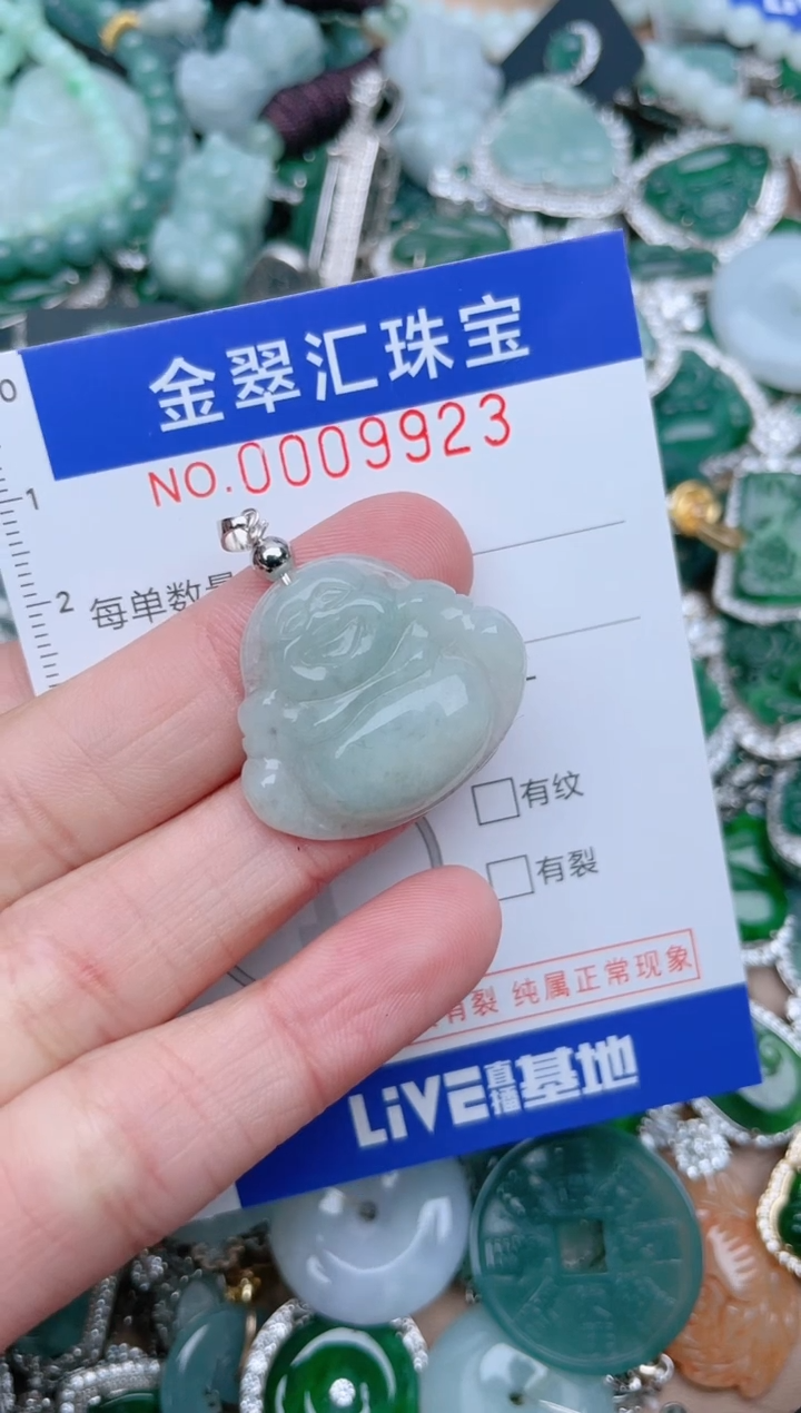 【闪购商品】翡翠颈饰未镶嵌9923...1