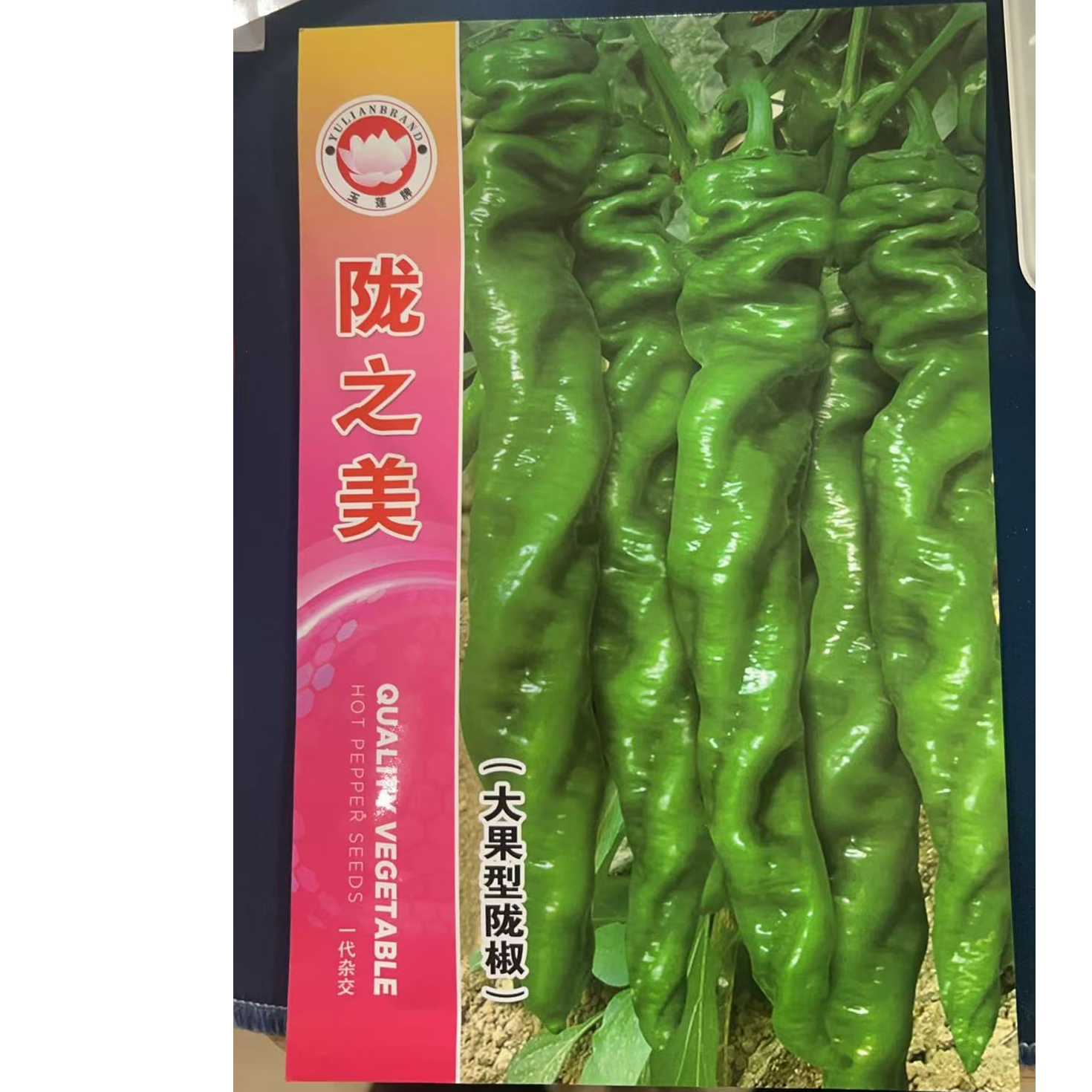 1000粒陇之美辣椒种子