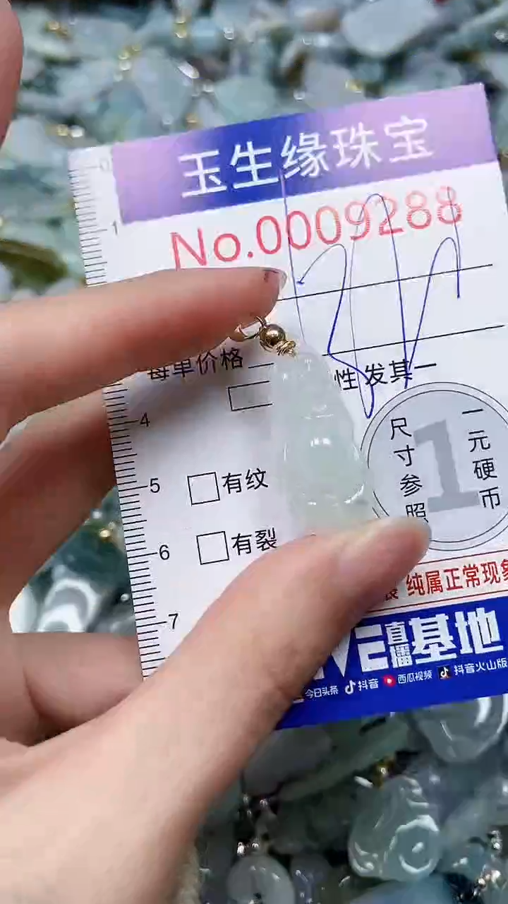 【闪购商品】翡翠颈饰未镶嵌闪购00009288