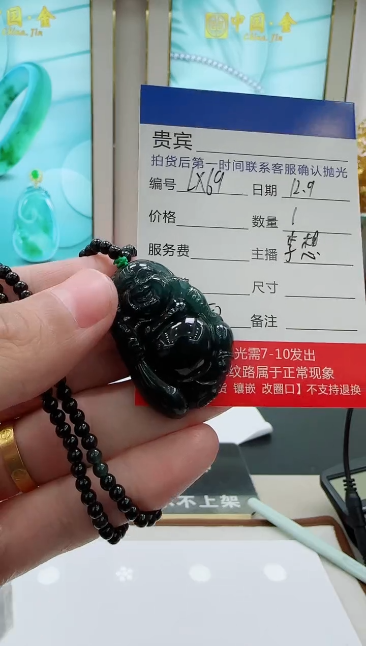 未镶嵌定制翡翠LX69翡翠吊坠赠珠链-多样性发其一