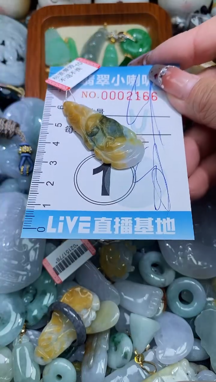 【闪购商品】翡翠颈饰未镶嵌闪购0002166