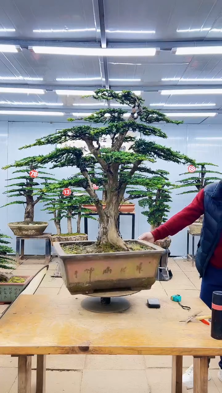 00000000000000000000