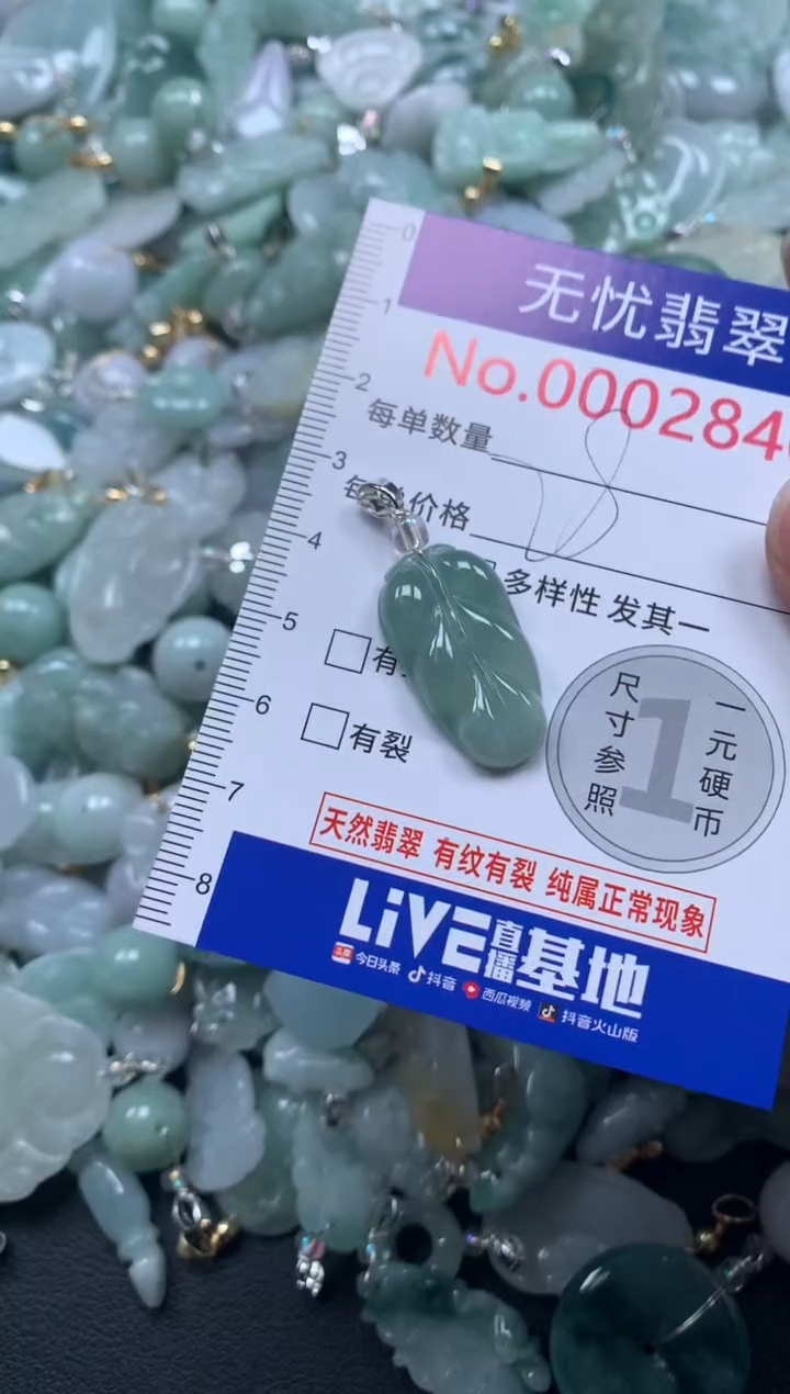 颈饰未镶嵌翡翠2840