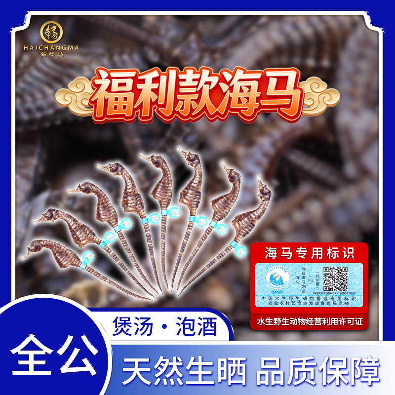 「泡酒专用全公海马」A级 正宗海马干货 全公 可溯源码 泡酒专用