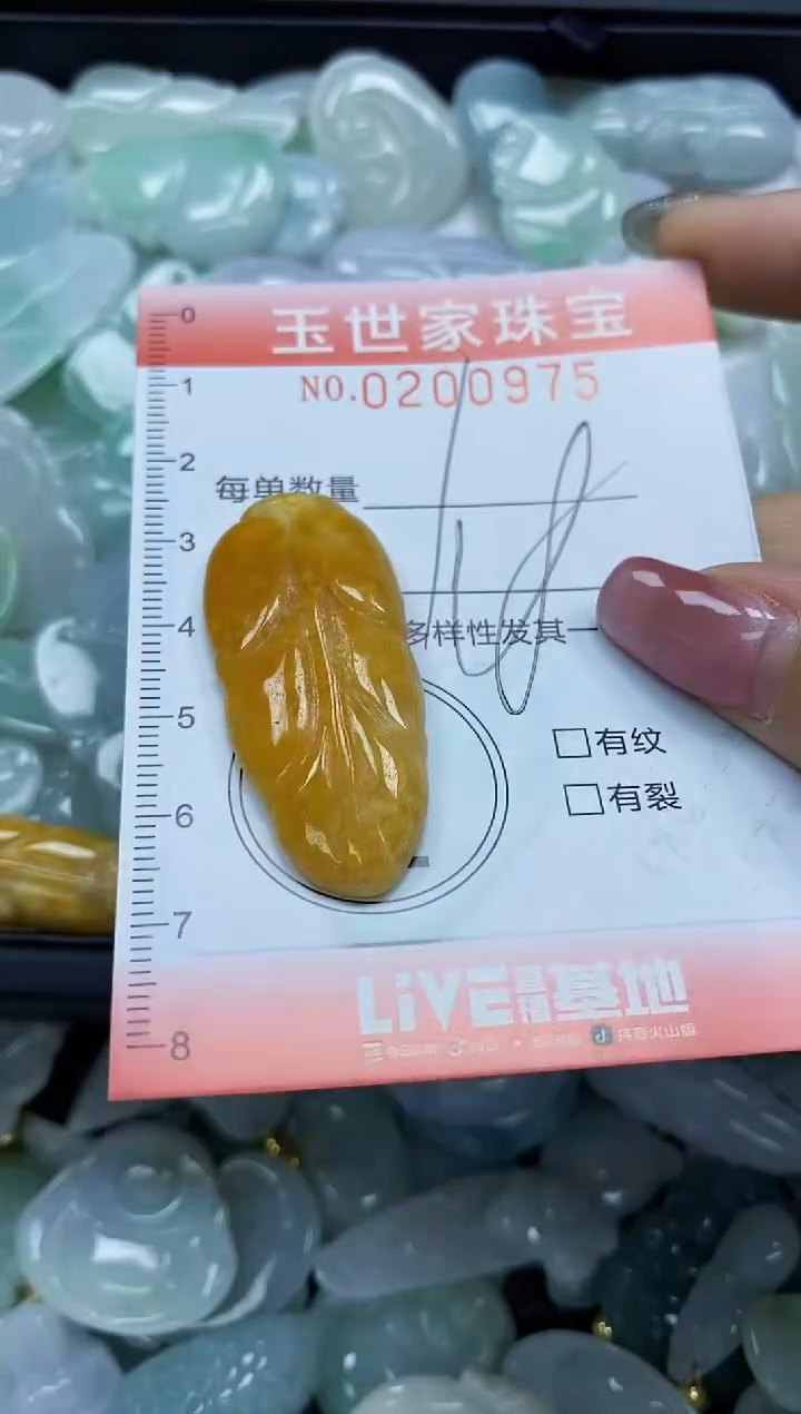 【闪购商品】翡翠颈饰未镶嵌闪购0200975