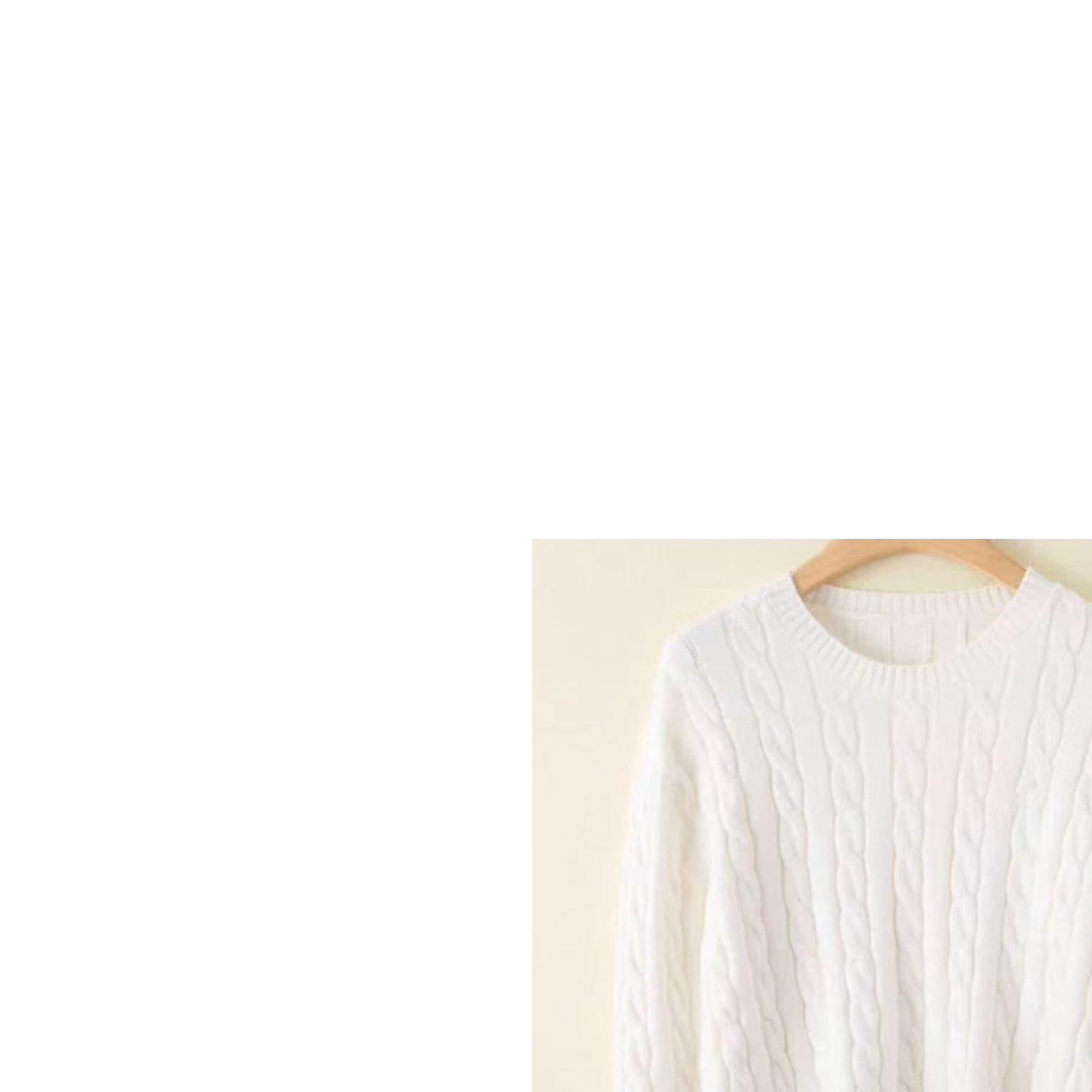 【俐32】女士秋冬毛衣麻花刺绣圆领针织衫-P