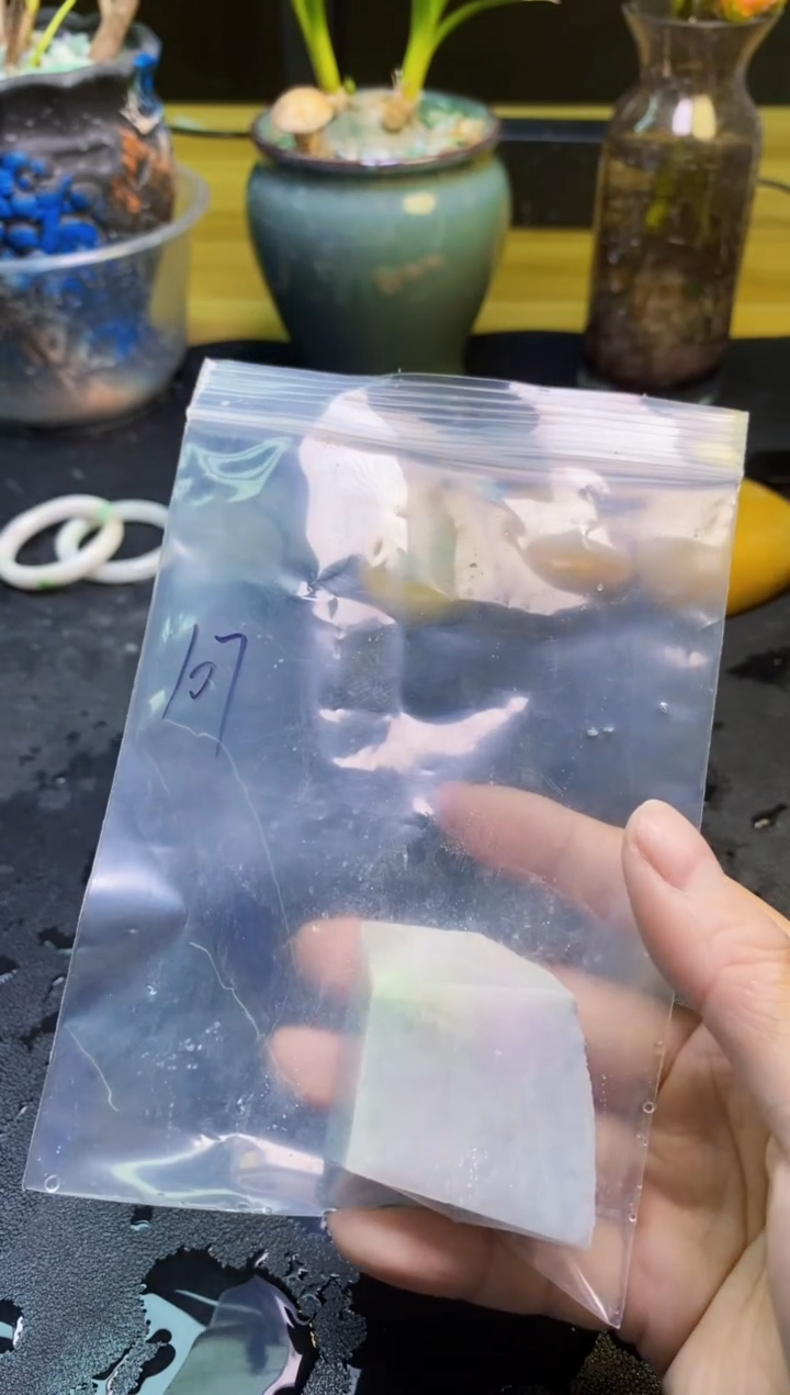 翡翠未镶嵌颈饰天然翡翠107