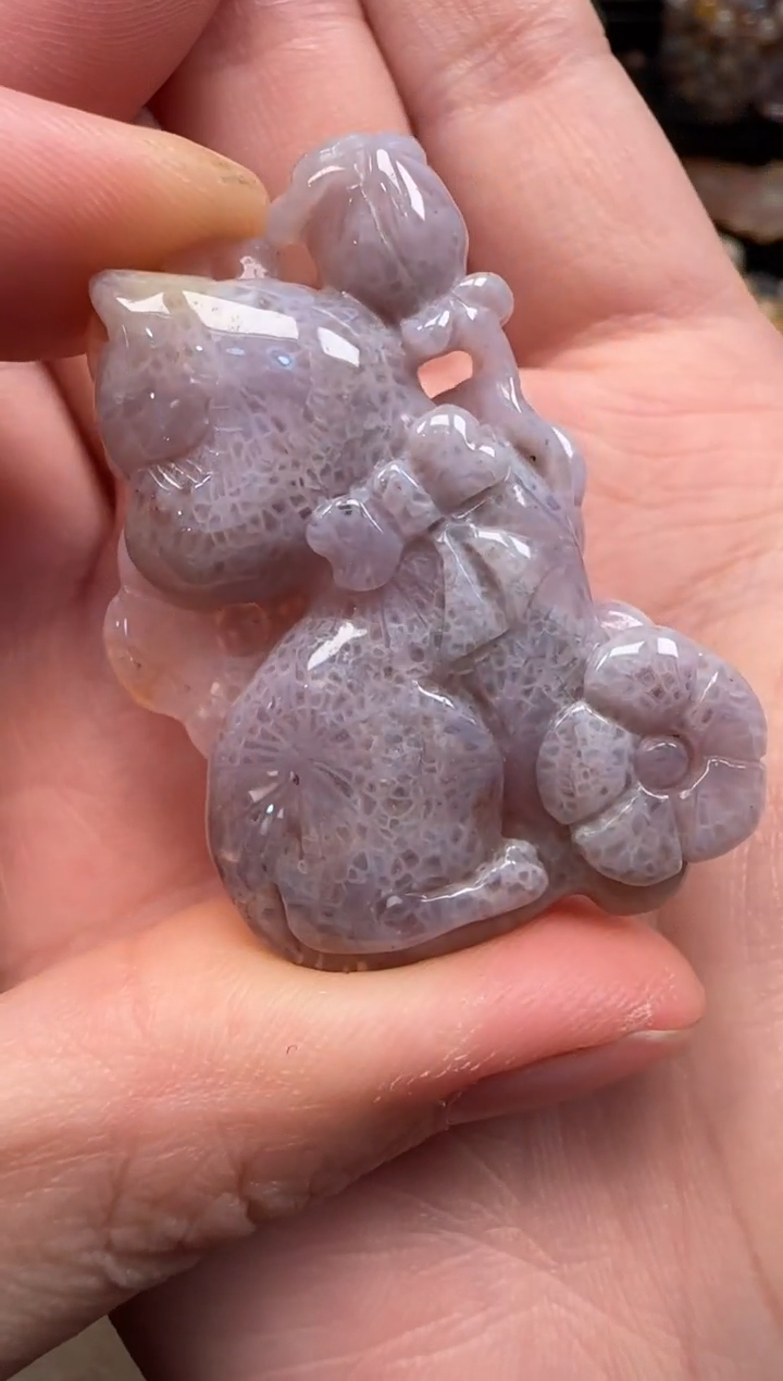 硅化珊瑚（珊瑚玉）未镶嵌颈饰562