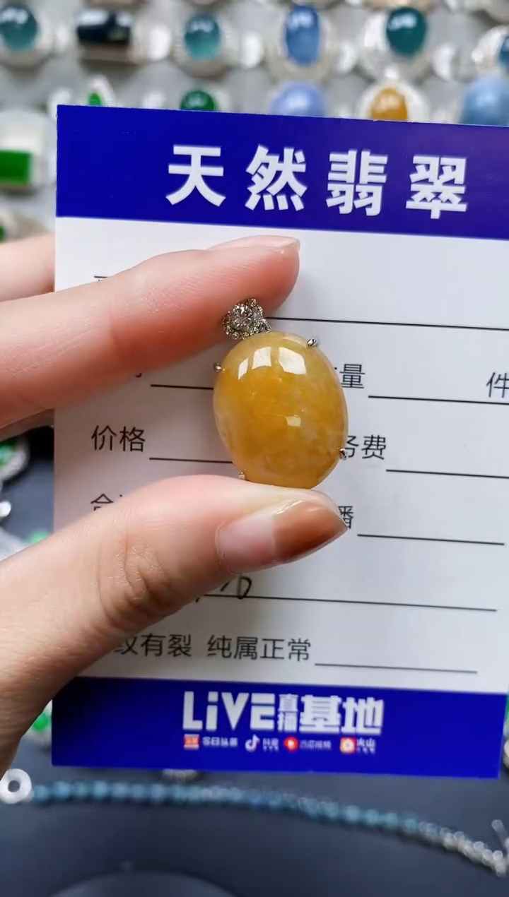 【闪购商品】翡翠颈饰银S925镶嵌0336