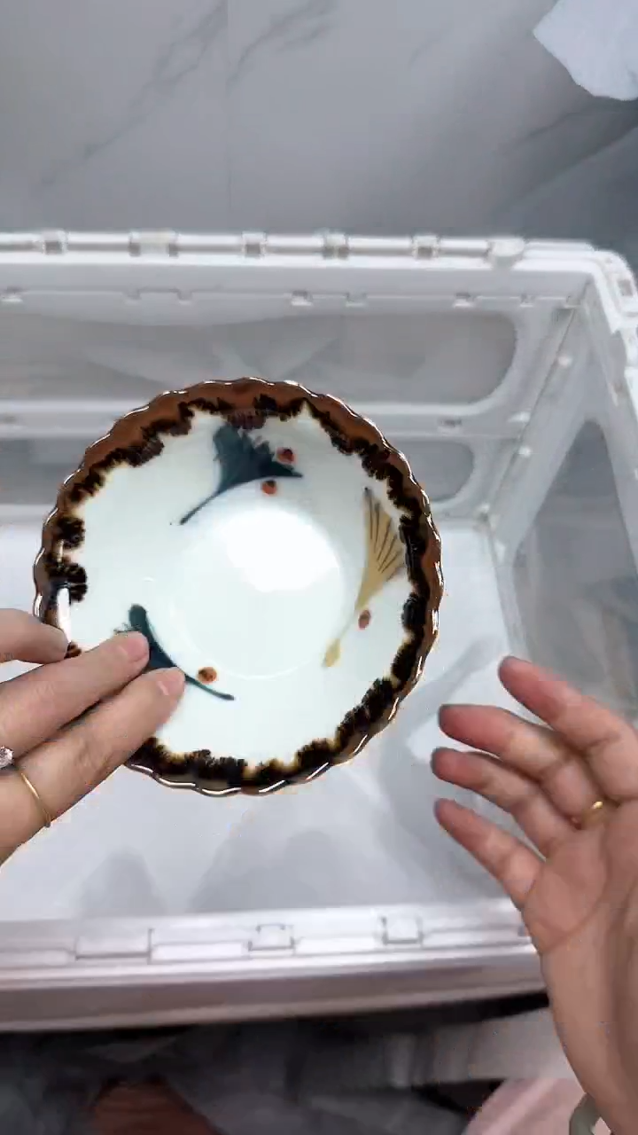 【闪购商品】1289回流瓷器默认微瑕，18.8包邮