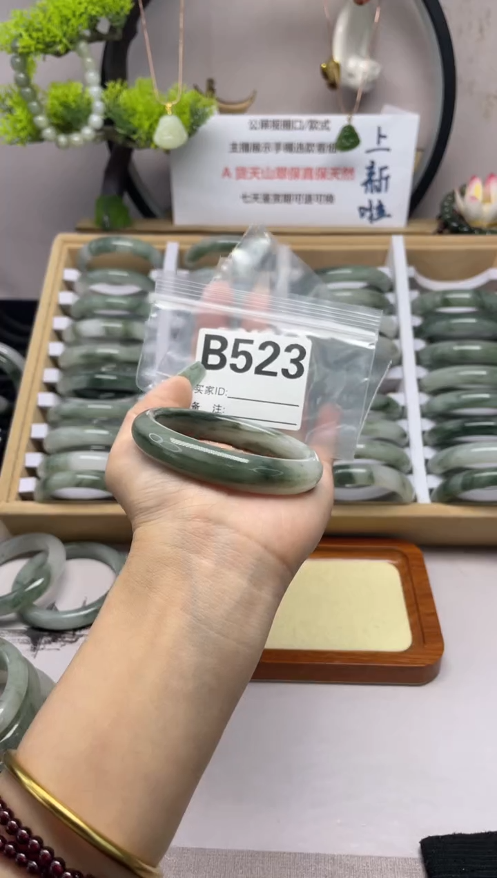 【闪购商品】石英质玉（天山翠）手镯未镶嵌b523