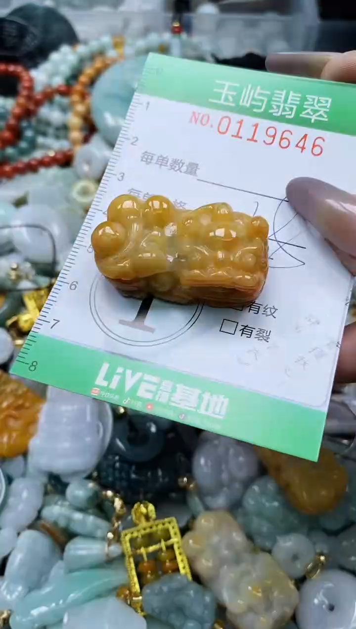 翡翠未镶嵌颈饰闪购0119646