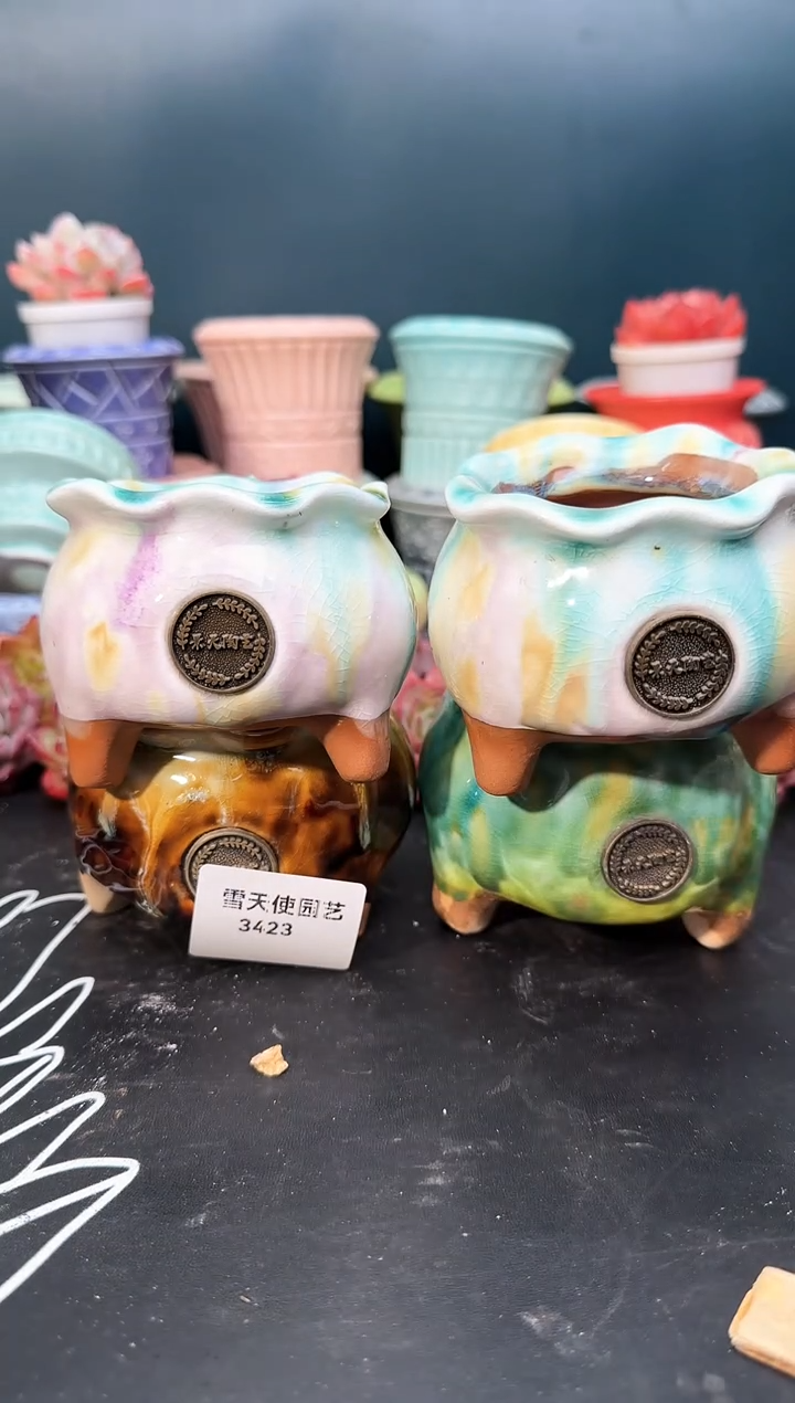 3 423 景天盆 4个 默认微瑕