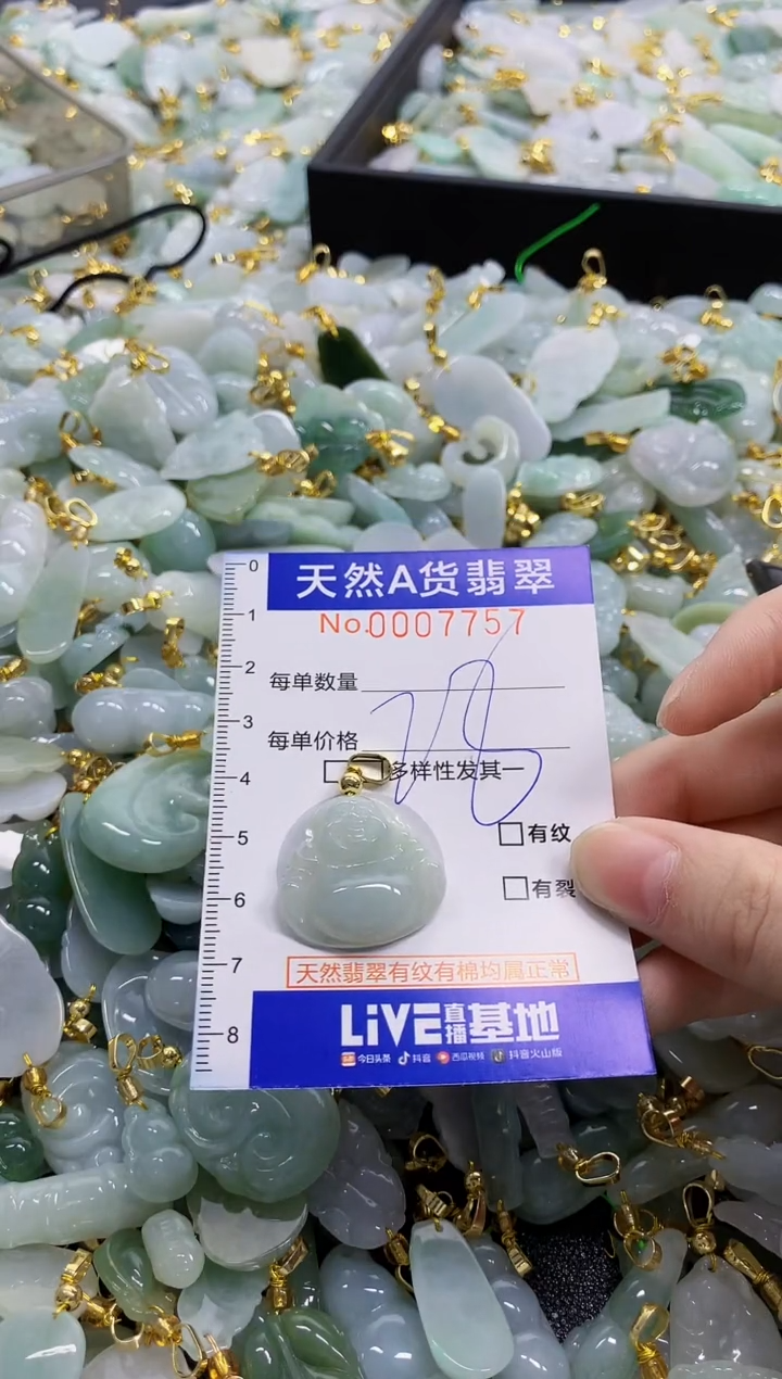 颈饰未镶嵌翡翠纯天然a货翡翠