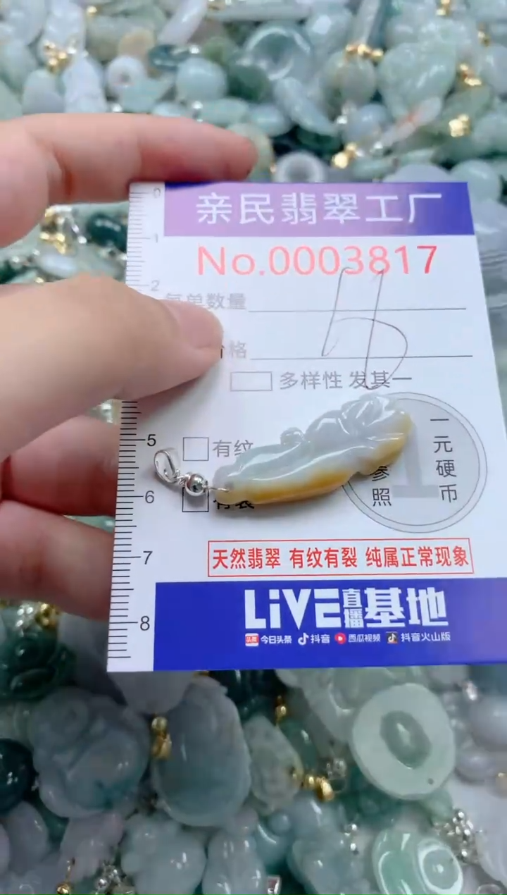 翡翠未镶嵌吊坠(不含链)3817