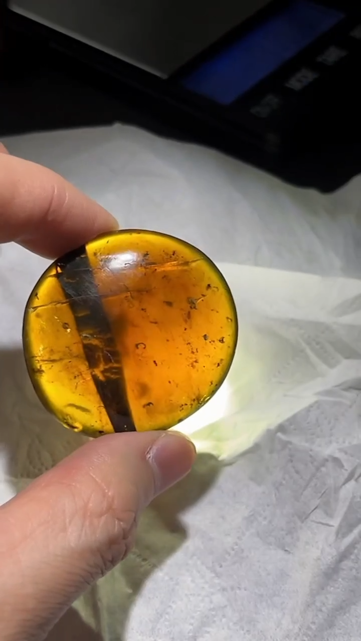 裸石琥珀未镶嵌pz260101-13