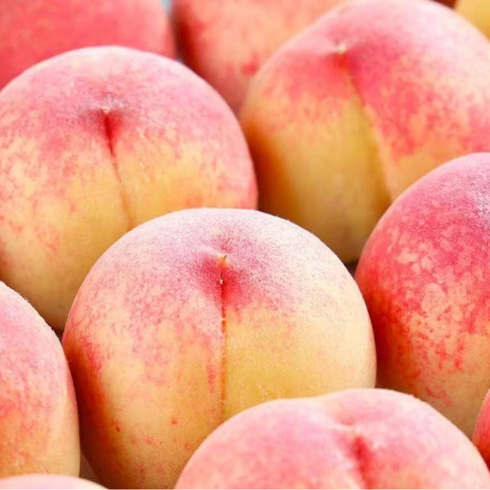 突围水蜜桃子新鲜水果应季孕妇脆甜毛桃子脆红蜜桃清甜香甜多汁