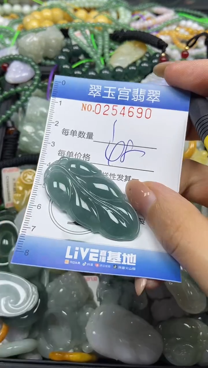 颈饰未镶嵌翡翠闪购C0254690