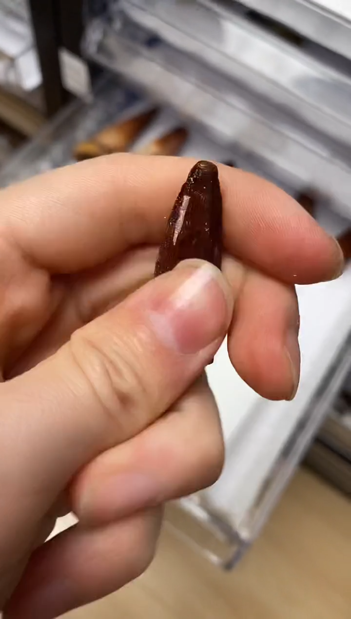 雪****知66666666666666666666666666666666666666666666666