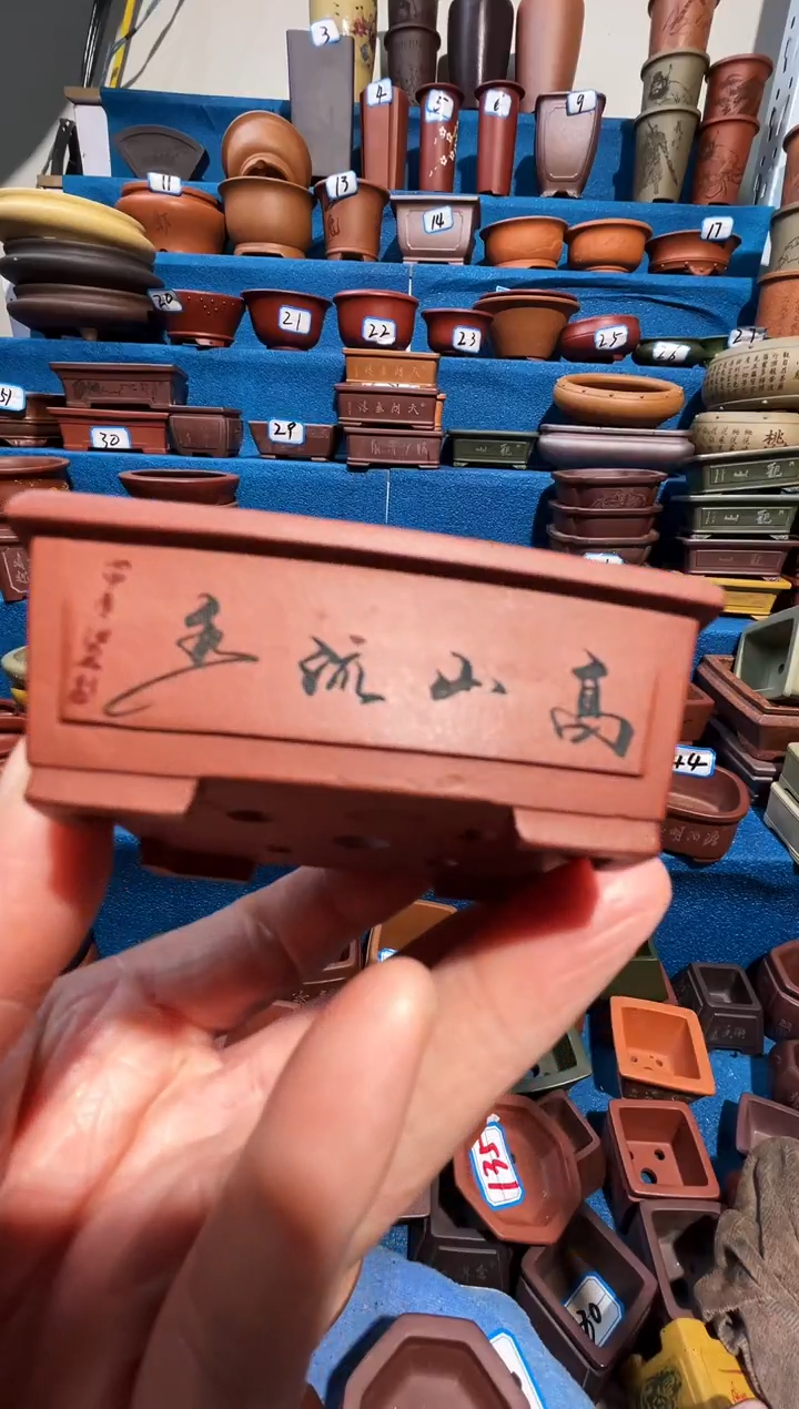 【闪购商品】紫砂紫砂花盆【 6*5*2