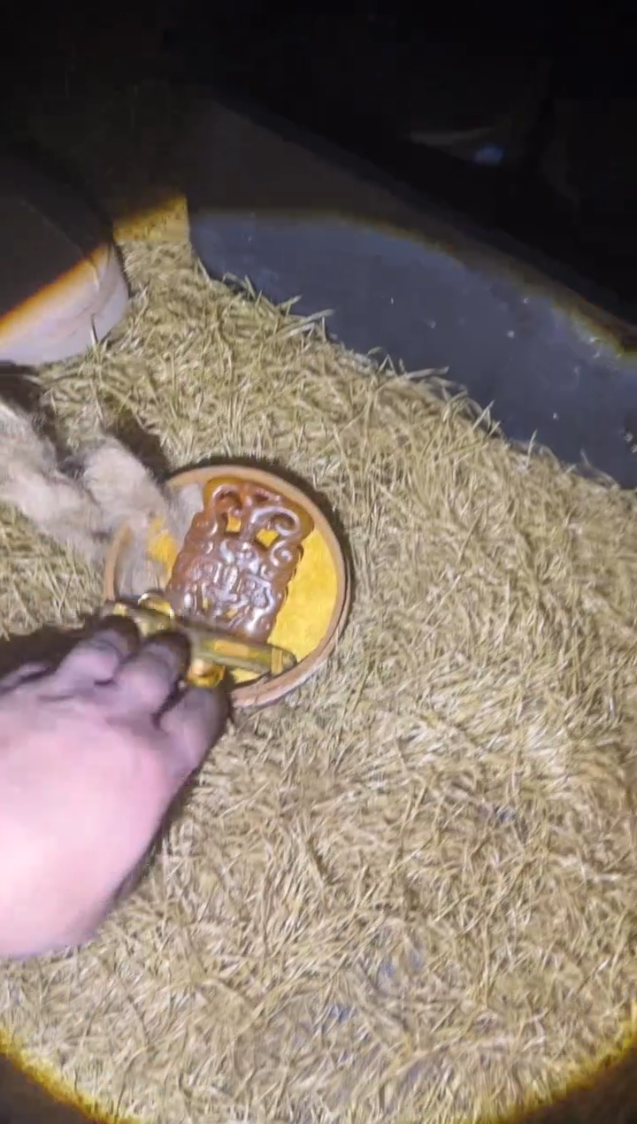 香榧木多多专属链接56654988