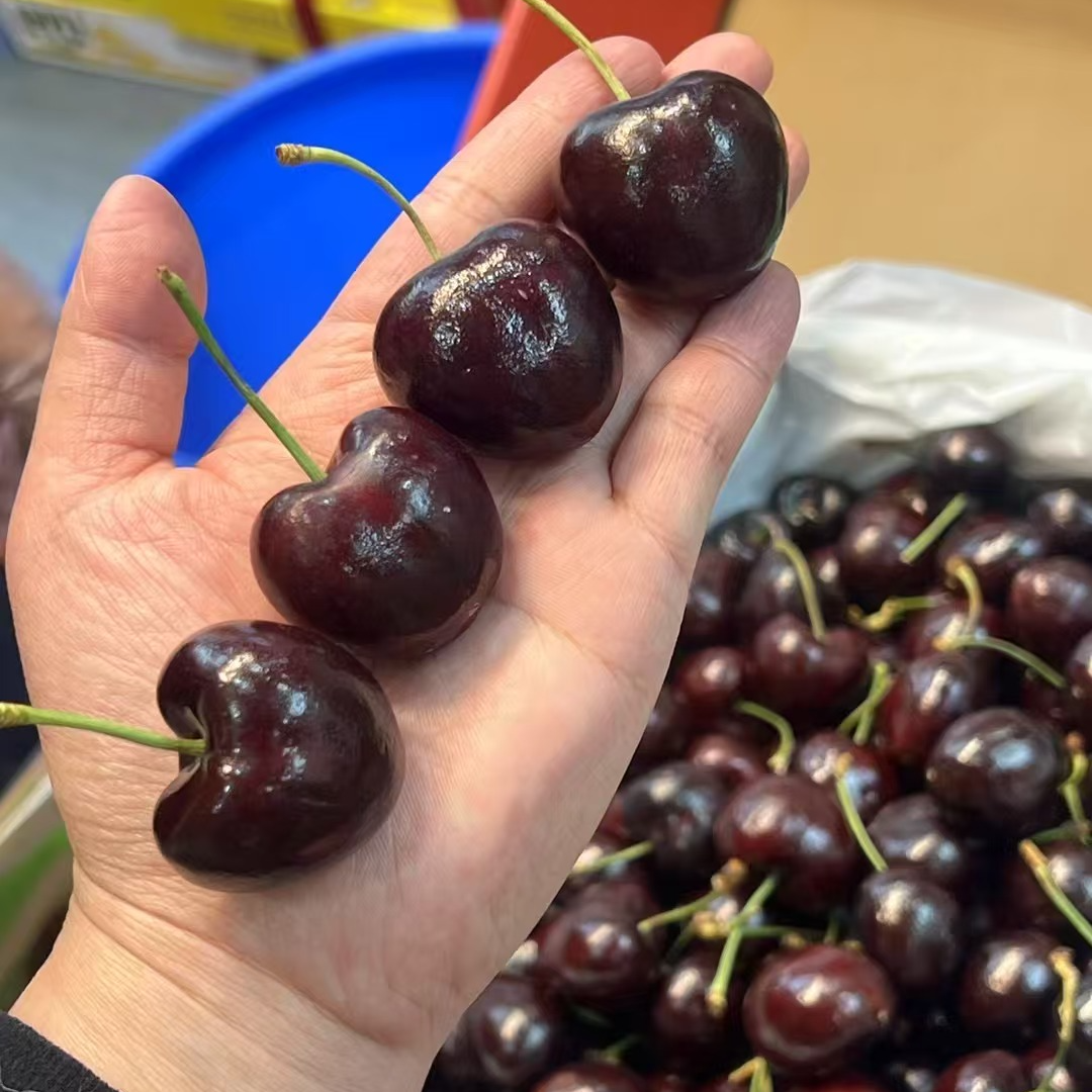 科迪亚单JD车厘子五斤装