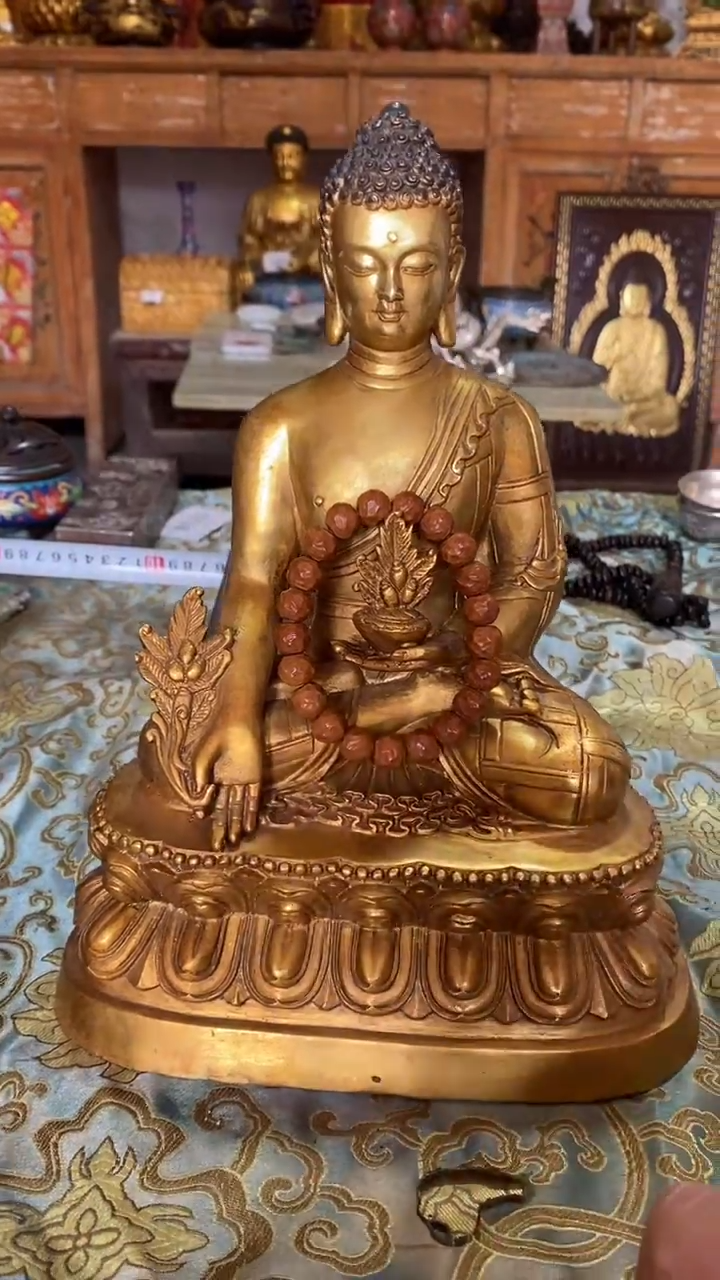 【闪购商品】金刚菩提吊坠精品好物精选