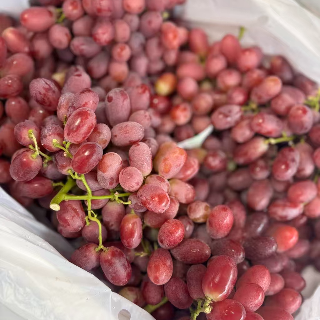 克伦生无籽葡萄500g新疆维吾尔自治区