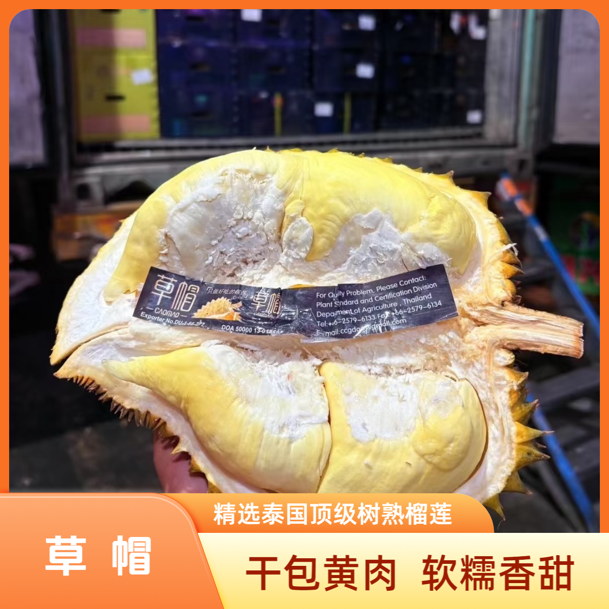 暹味  泰国树熟金枕鲜榴莲（核小） 4-8斤 一果一重 东阳义乌同城金枕泰国