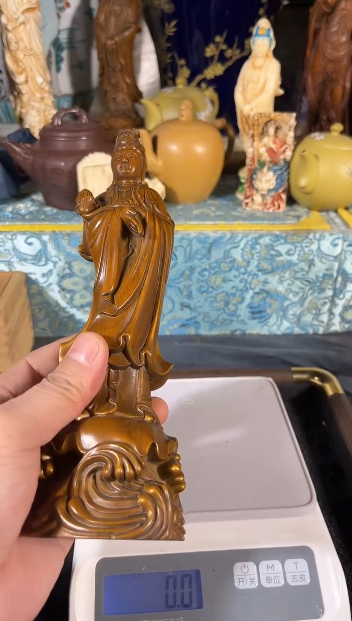 黄杨木1111111111111111111