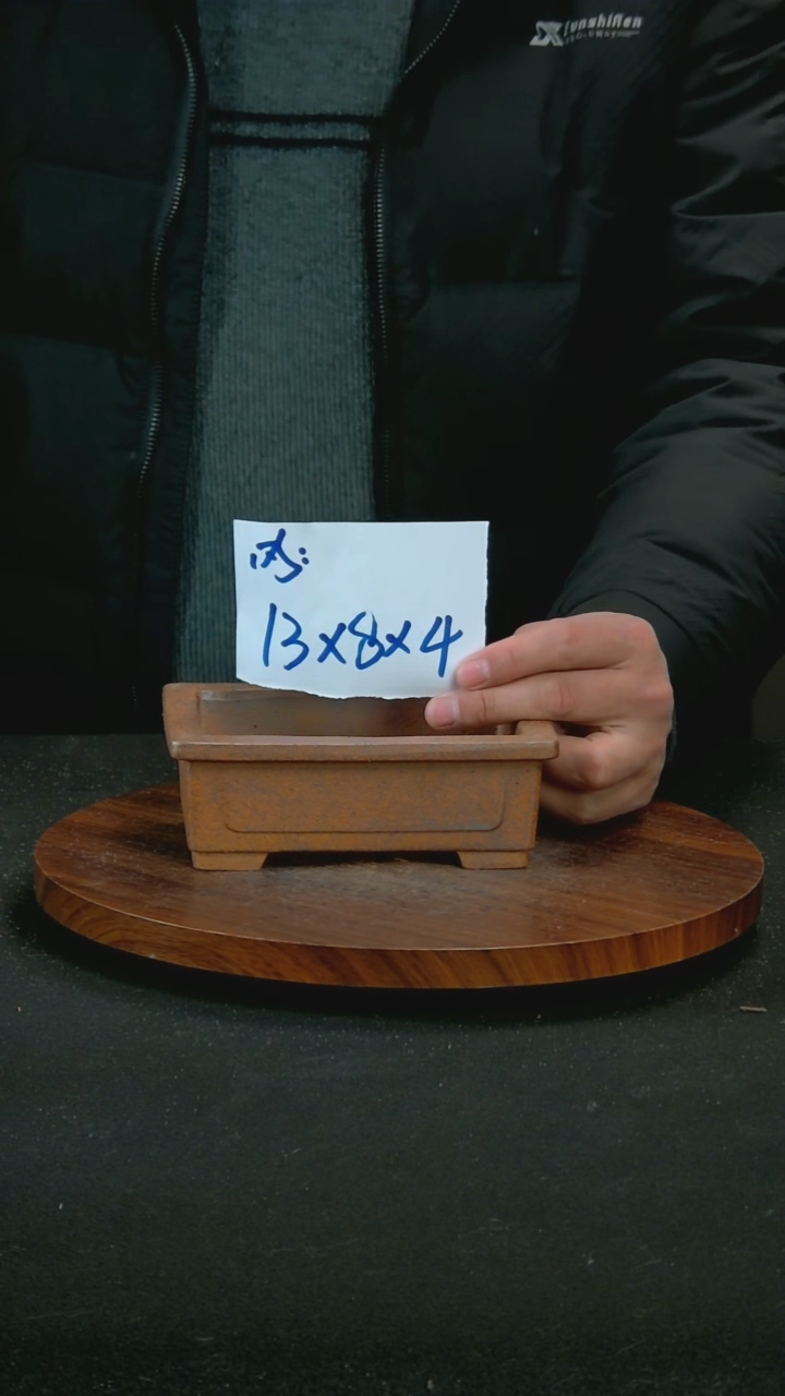 【闪购商品】紫砂P33