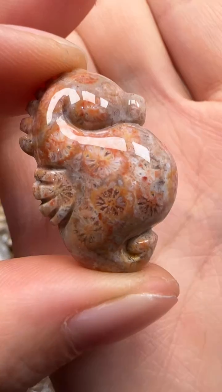 【闪购商品】硅化珊瑚（珊瑚玉）颈饰未镶嵌647