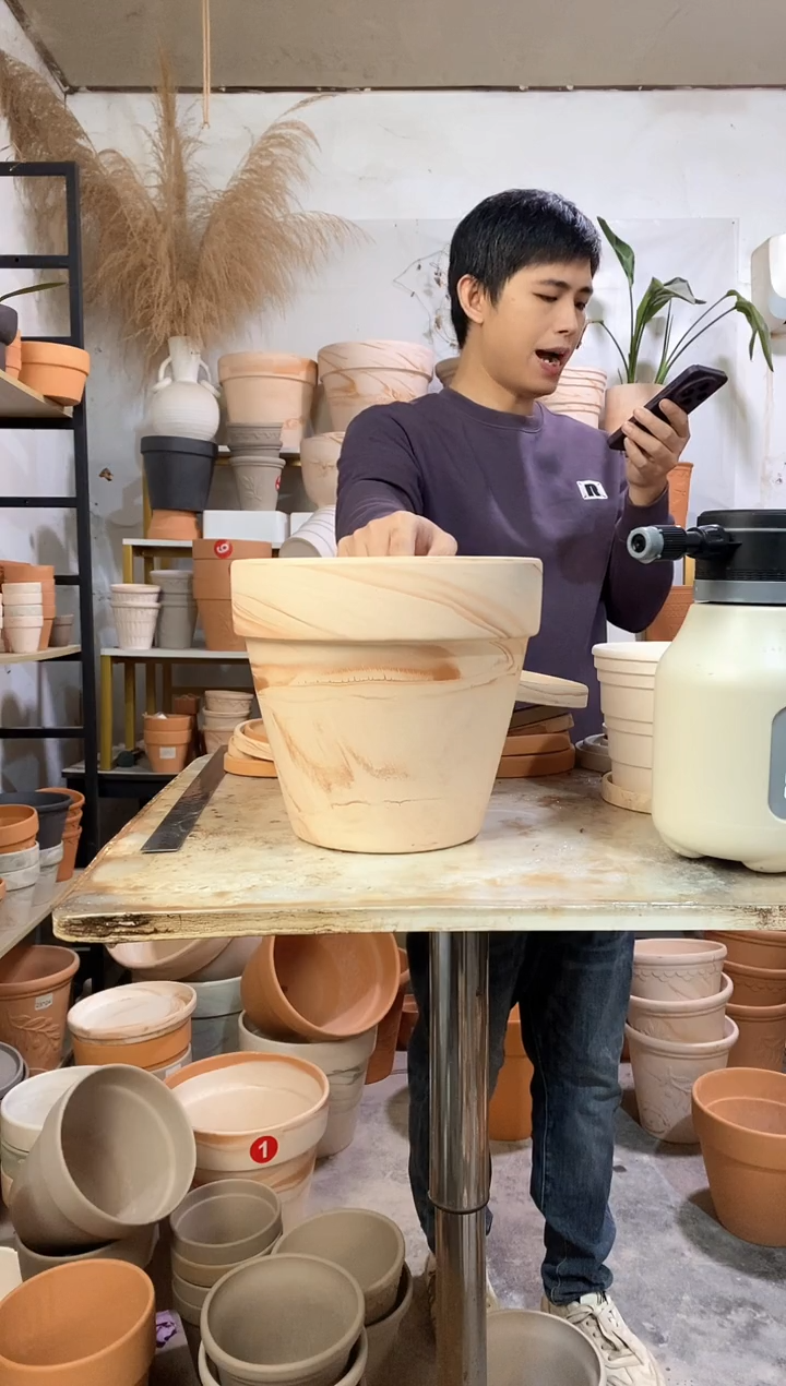 26*24玛奇朵 1盆无托