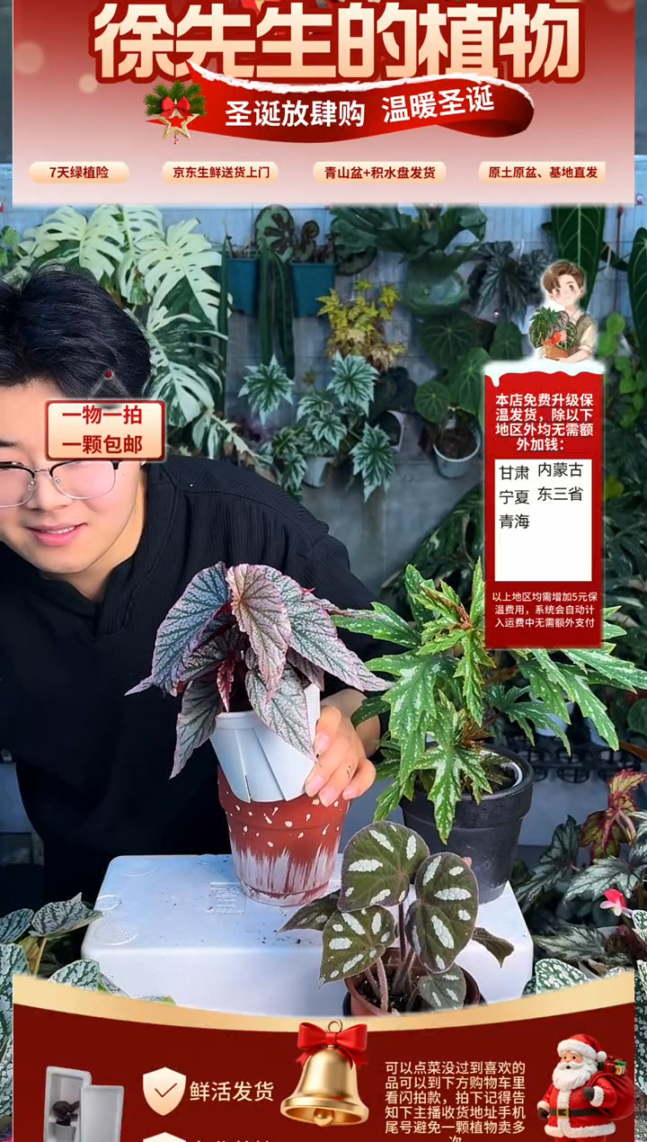 完全开放老*在逃公主
