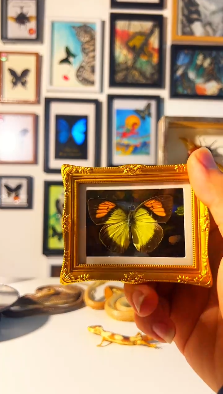 有机玻璃2873738787