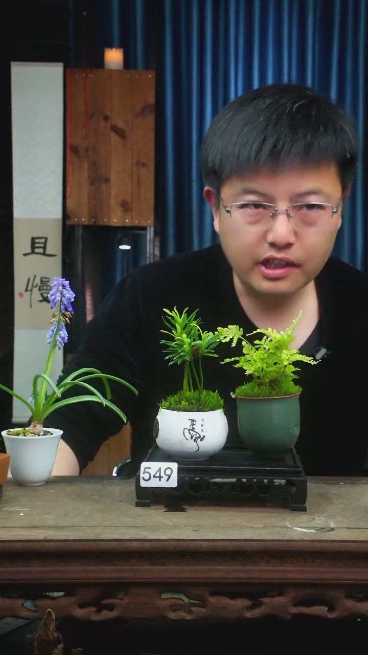 【闪购商品】苔藓微景观549号
