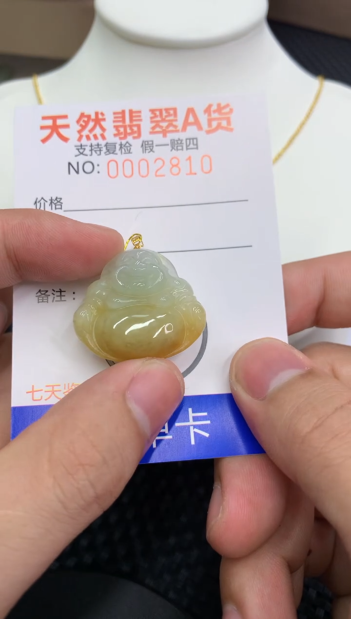 【闪购商品】翡翠颈饰18K金镶嵌11111111111
