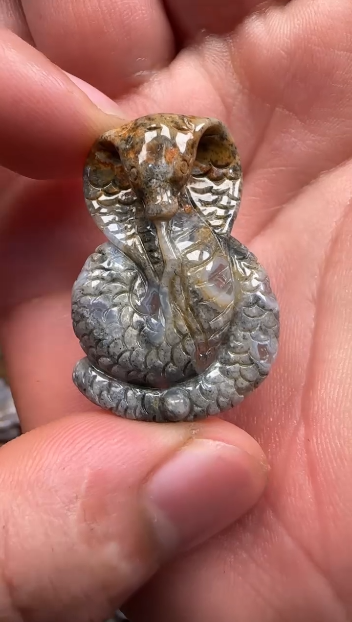 【闪购商品】硅化珊瑚（珊瑚玉）颈饰未镶嵌178