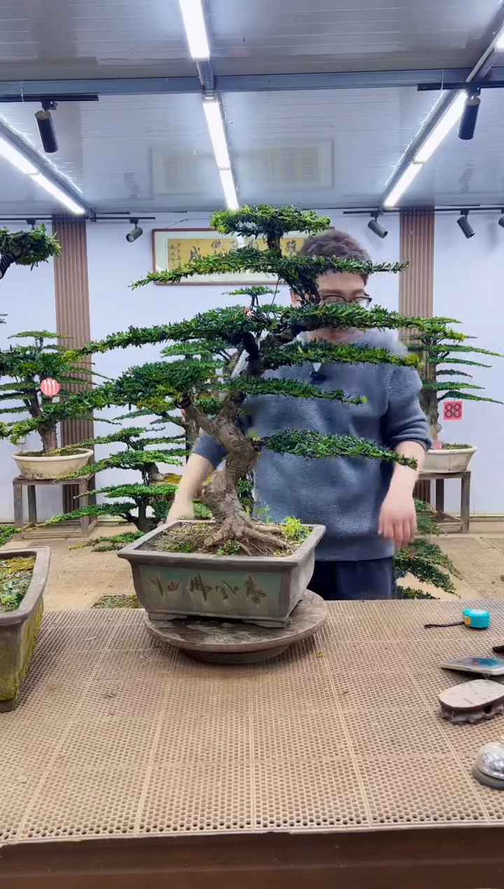 无花朵心****者000000000000