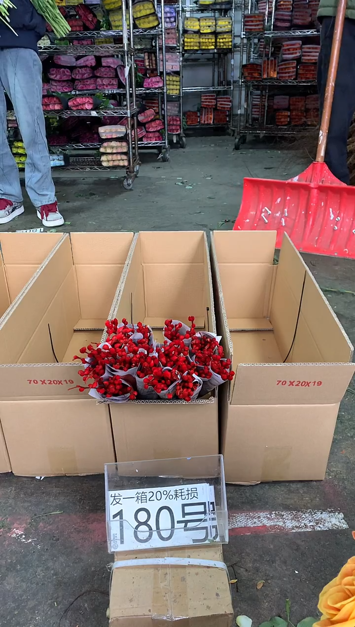 180号/16♥中通含20%耗损发一箱鲜花