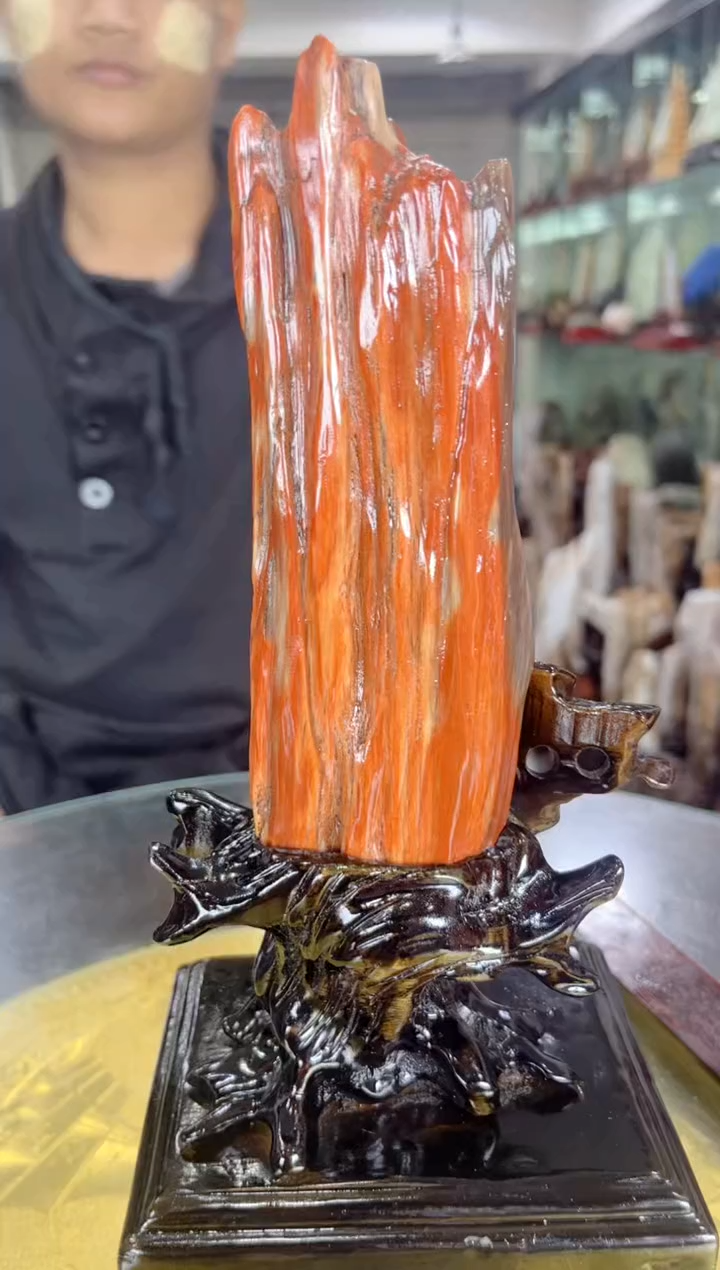 【闪购商品】硅化玉珠宝奇石未镶嵌缅甸天然树化玉