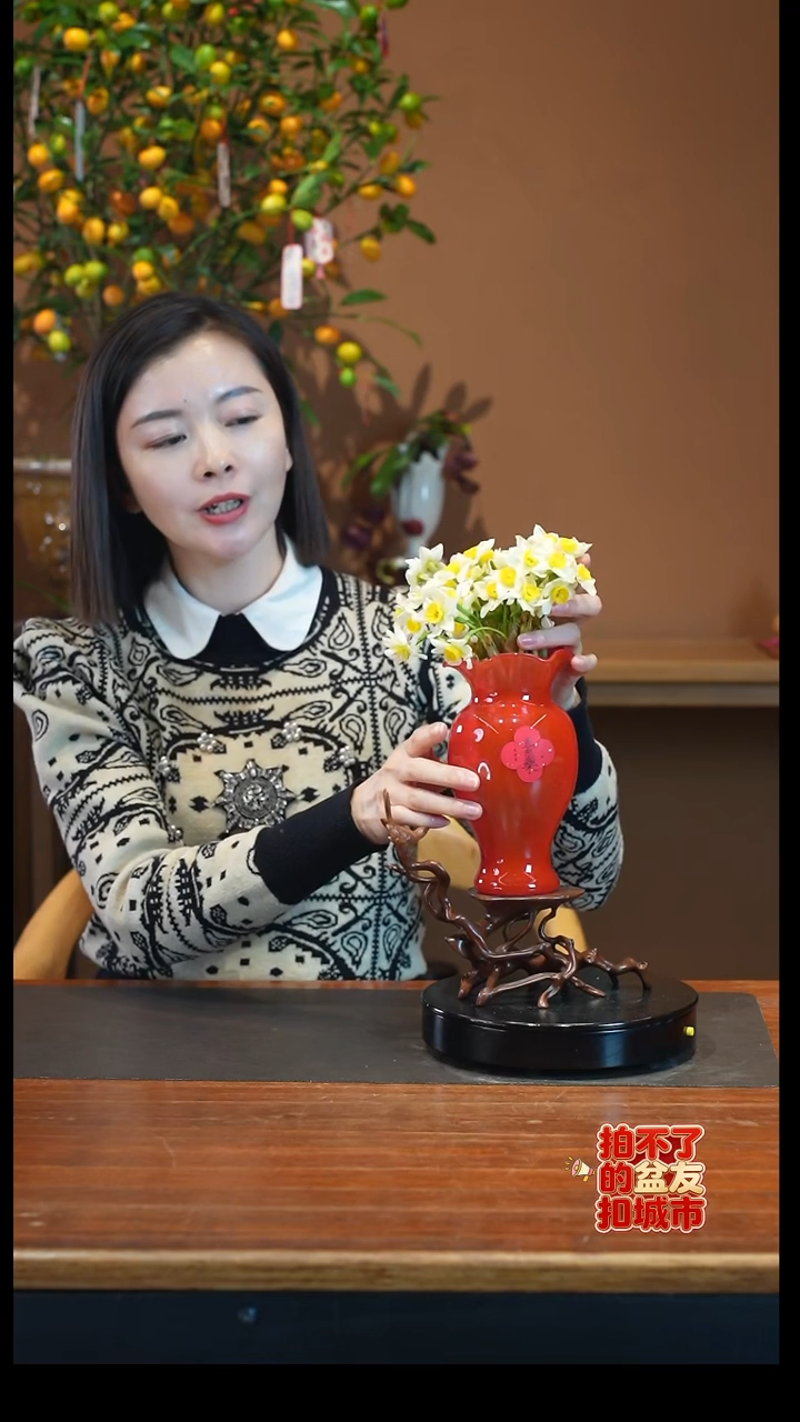 全部花朵水仙花红盆