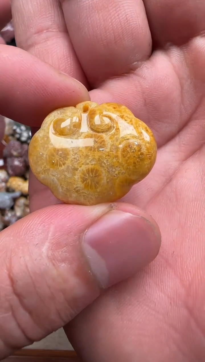 【闪购商品】硅化珊瑚（珊瑚玉）颈饰未镶嵌126