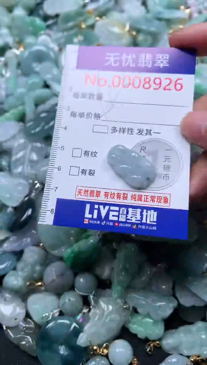 颈饰未镶嵌翡翠8926