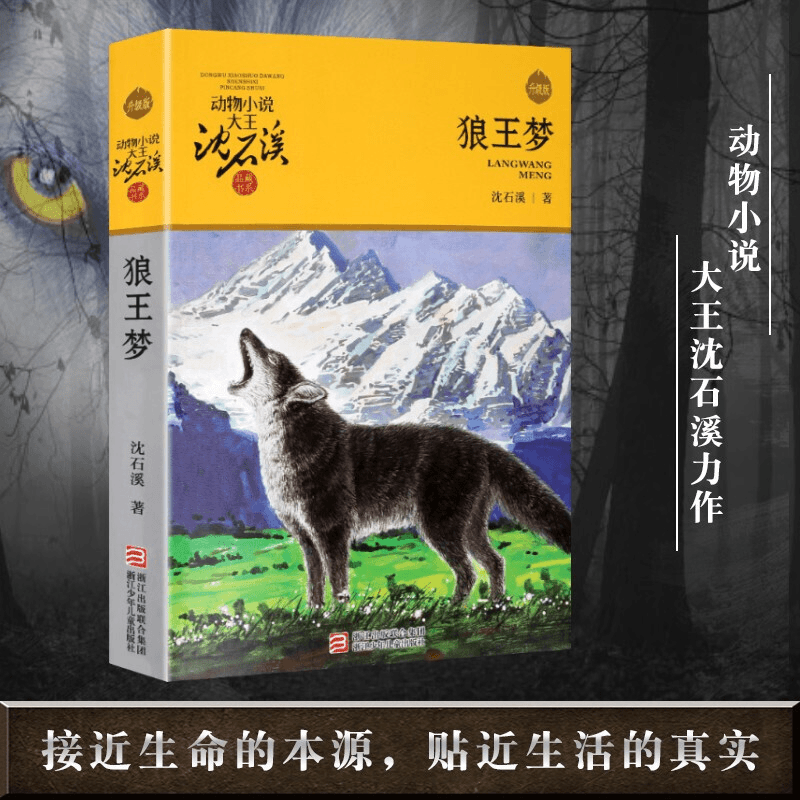 升级版动物小说大王沈石溪·品藏书系：狼王梦