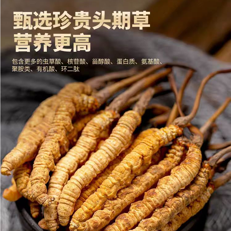 正宗西藏高海拔0.2g冻干冬虫夏草天然食用级干货无硫