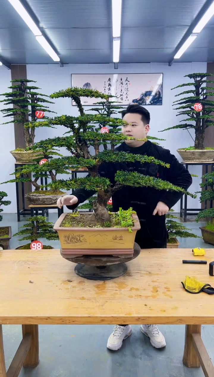 以实际为准0000000000