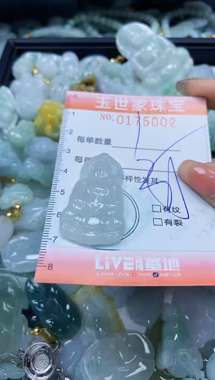 【闪购商品】翡翠颈饰未镶嵌闪购0175002